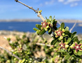 Мальта в октябре: море, культурный туризм, прогулки, опера и последние фесты