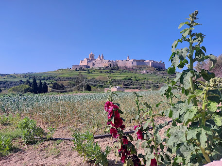 Панорама Мдины